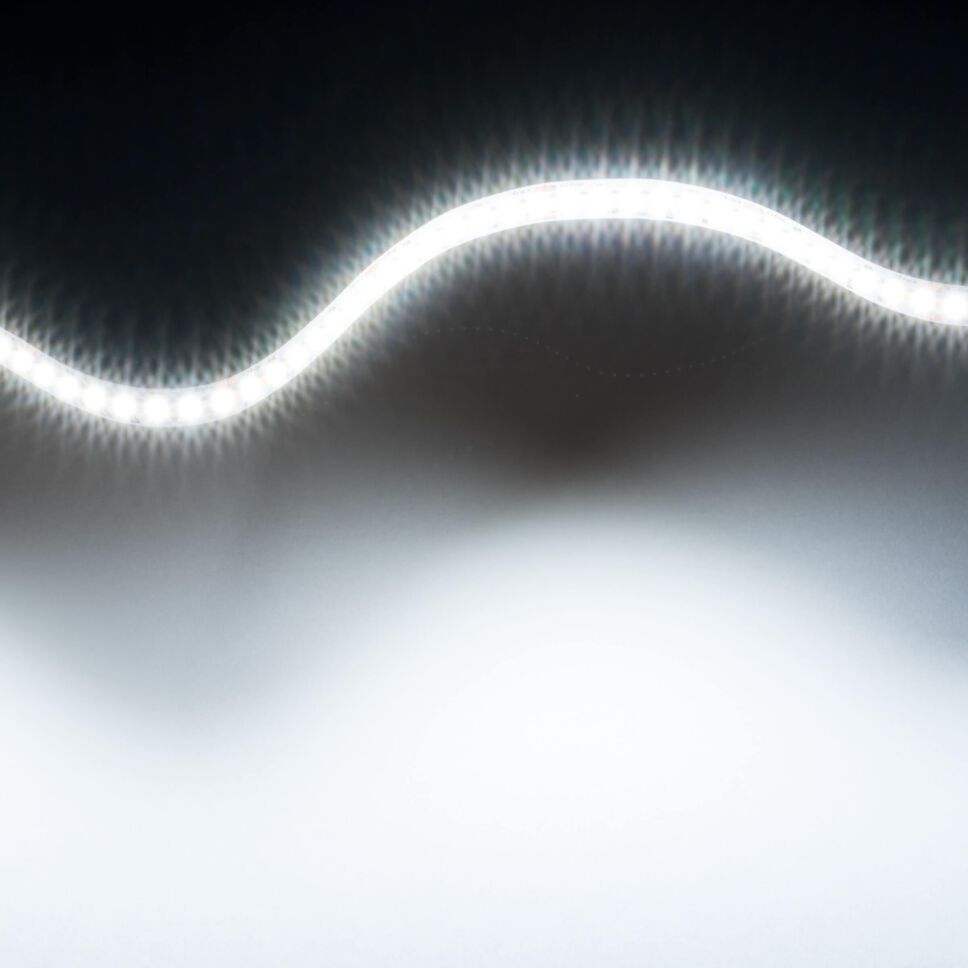 dualweißer CCT LED Streifen mit 252 LEDs pro Meter auf kaltweiß (5300K) eingestellt. Der Streifen ist flexibel und zur Lichtwelle gelegt