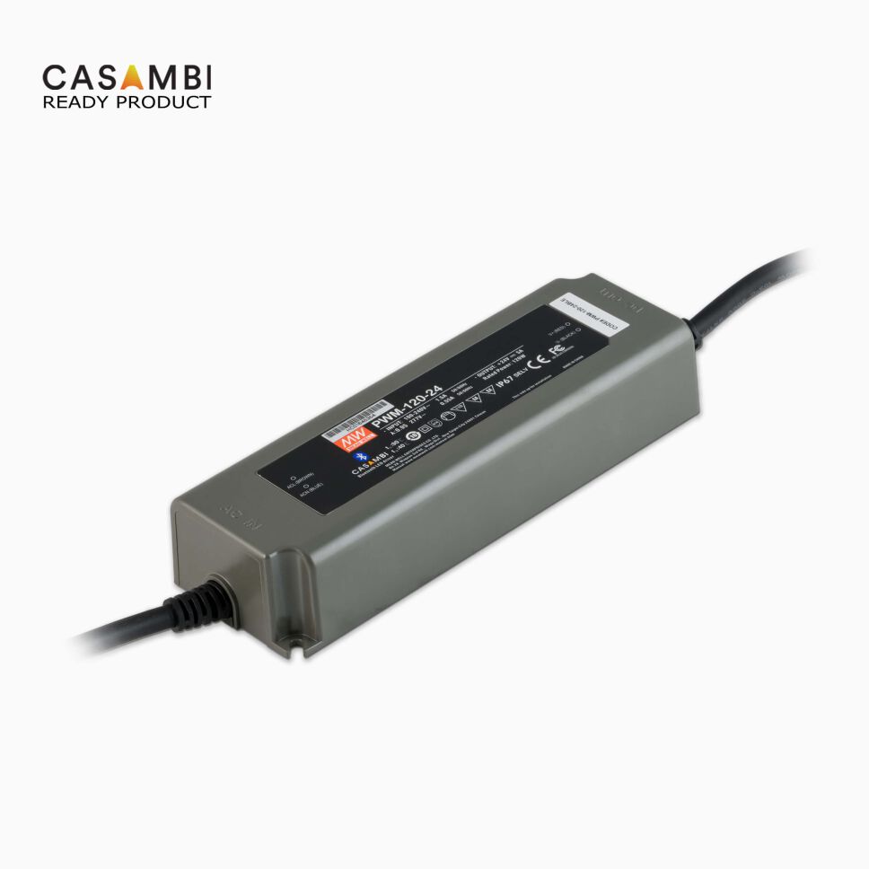 CASAMBI MeanWell LED Netzteil mit Zuleitungen und schwarzem Kunststoff-Gehäuse, freigestellt vor grauen Hintergrund