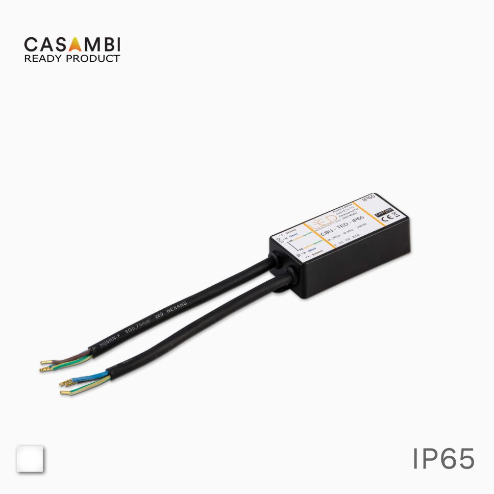 CASAMBI IP65 CBU-TED für den Außeneinsatz, freigestellt vor grauen Hintergrund
