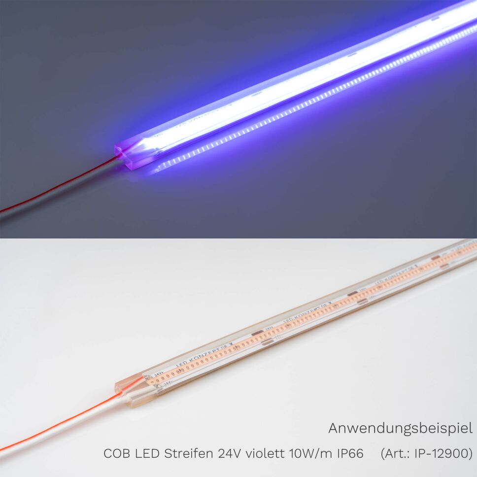 COB LED Streifen  24V  violett  10W/m  IP66